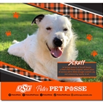 PETE'S PET POSSE 2025 CALENDAR