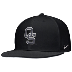 NIKE BASEBALL FOLDS OF HONOR FITTED CAP