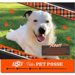 PETE'S PET POSSE 2025 CALENDAR